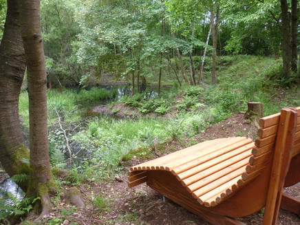 Liege am Feuchtbiotop im Wald